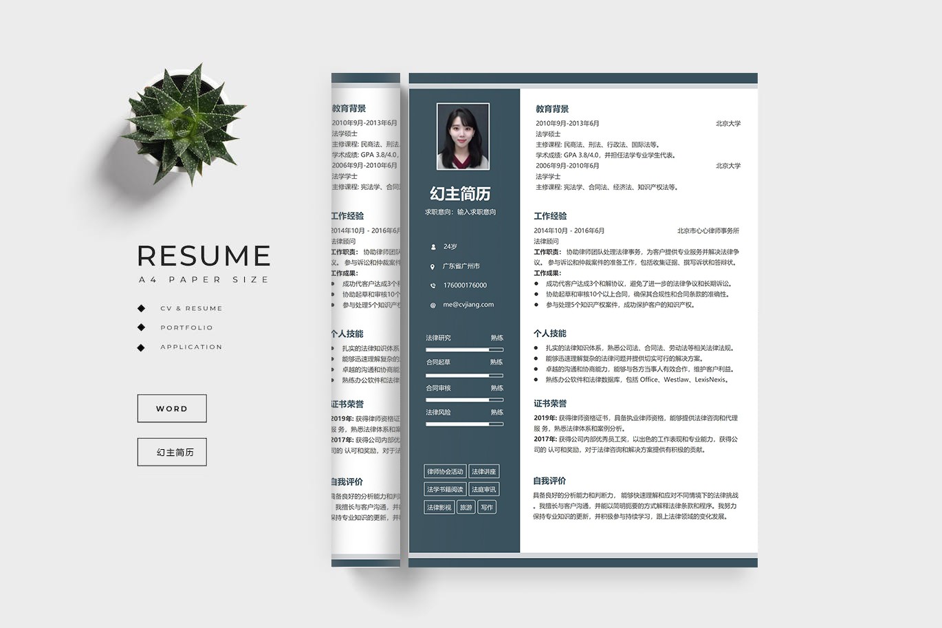 专业简历设计案例